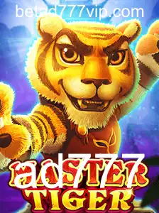 Desvendando o Mundo de MasterTiger: Regras, Estratégias e Emoção