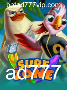 Introdução ao Mundo Empolgante do SurfZone